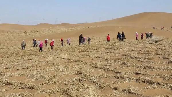 1746768751153808.jpg 6.jpg