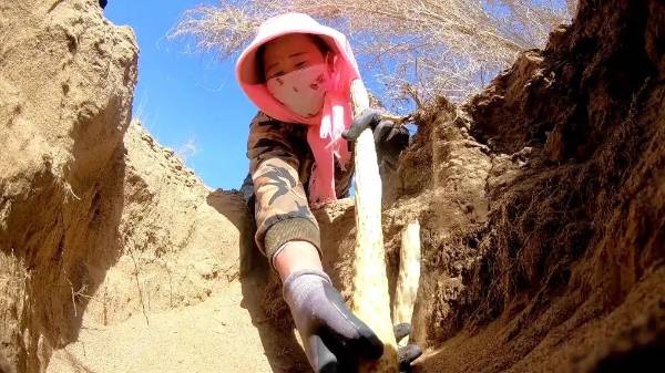 1746768757830050.jpg 7.jpg