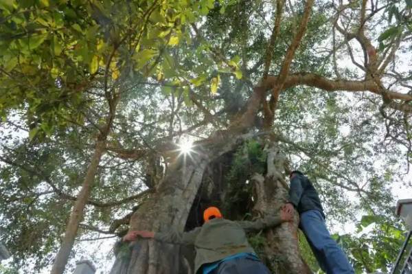 1747121614633409.jpg 1 (1).jpg