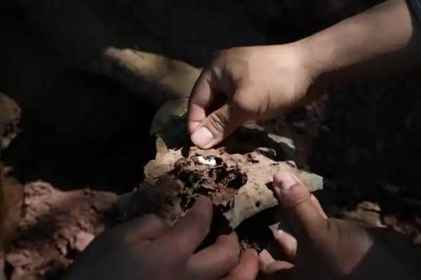 1747121625236734.jpg 2 (1).jpg