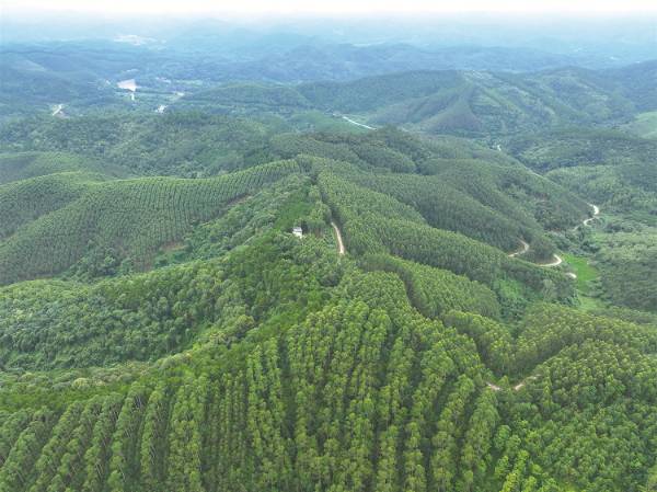 1747122219432938.jpg 1.jpg