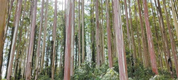 1747122226729711.jpg 2.jpg