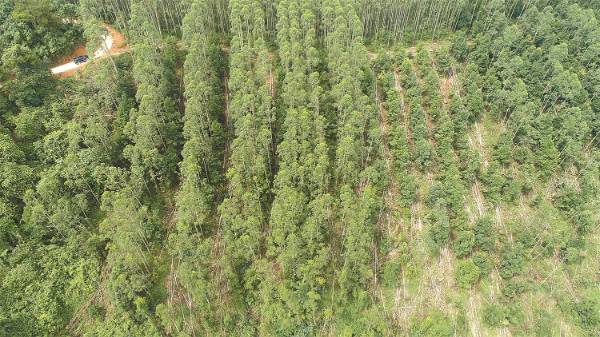 1747122233192539.jpg 3.jpg