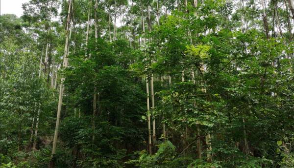 1747122244364586.jpg 4.jpg