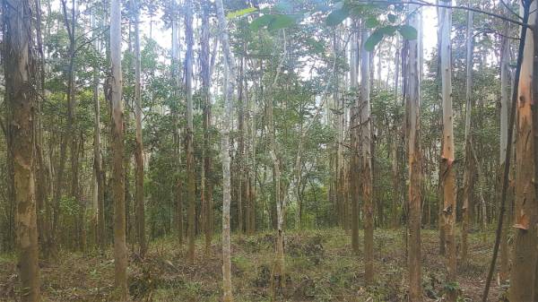 1747122258275554.jpg 6.jpg