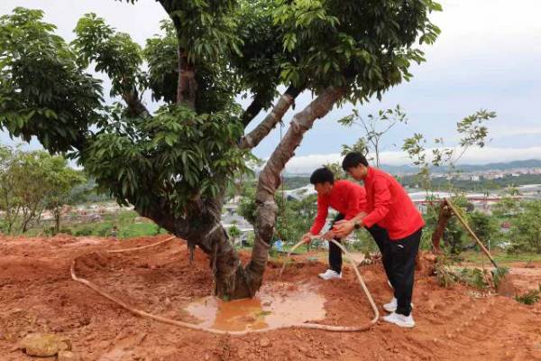 1747122749770223.jpg 3 (1).jpg