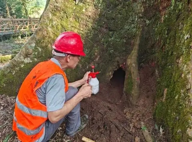 1747125943183489.jpg 2.jpg