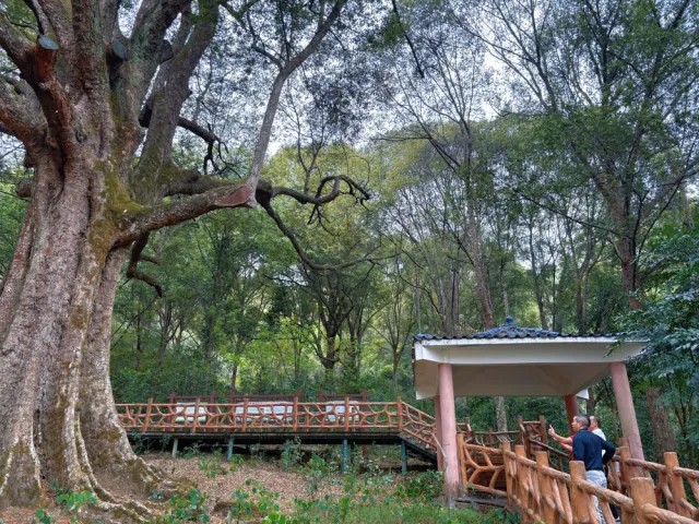 1747125960927161.jpg 3.jpg