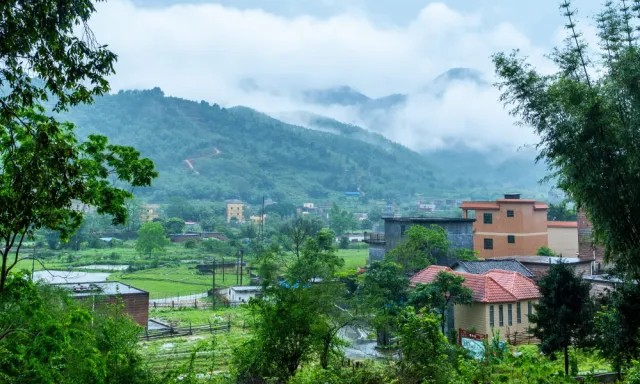 1747125972250880.jpg 4.jpg