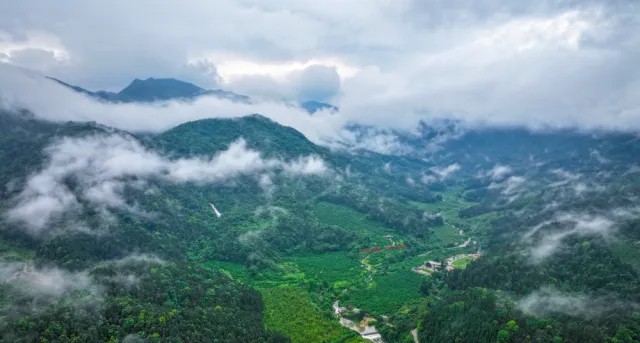 1747125981378631.jpg 5.jpg