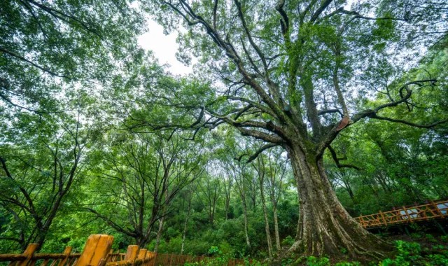 1747126012318224.jpg 6.jpg