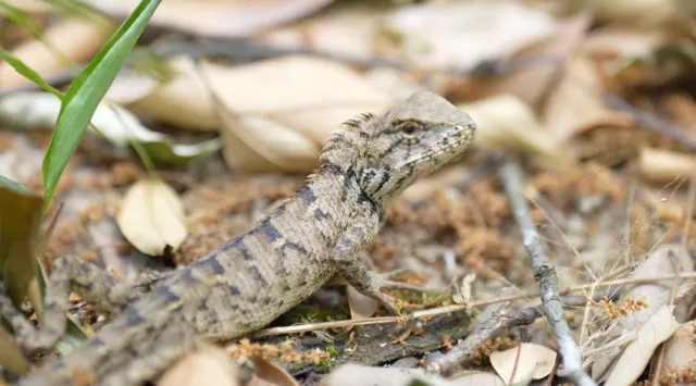 1747126023419217.jpg 7.jpg