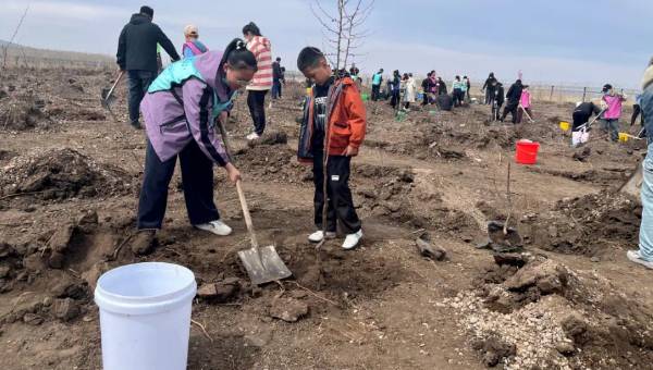 1747126942198309.jpg 3 (1).jpg