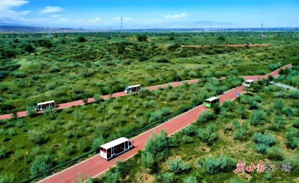 1747186830667649.jpg 6.jpg