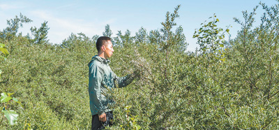 1747187213874250.jpg 1.jpg