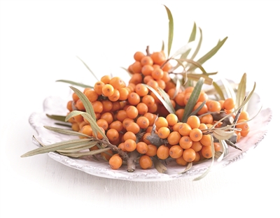 1747187227775522.jpg 3.jpg