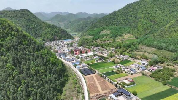 1747188065975868.jpg 1.jpg