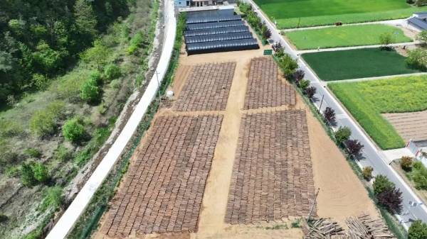 1747188069249972.jpg 3.jpg