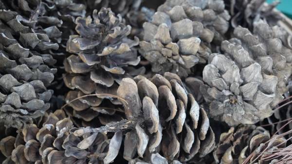 1747188081493975.jpg 4.jpg