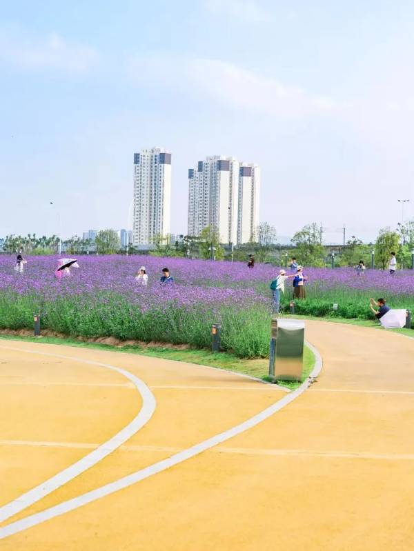 1747189096397404.jpg 4 (1).jpg