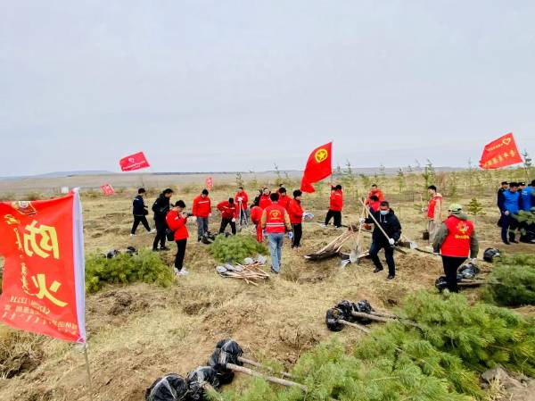 1747190073727782.png 1.png