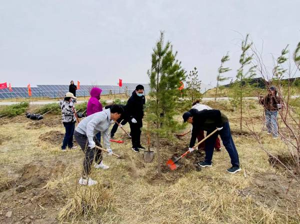 1747190082626096.png 3.png