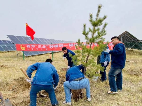 1747190086706592.png 4.png