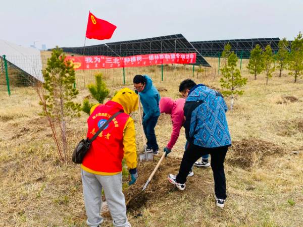 1747190093531629.jpg 6.jpg