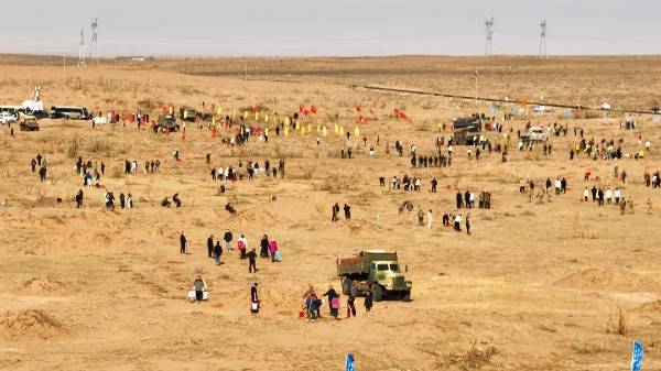 1747297846549043.jpg 3 (1).jpg