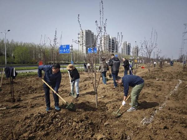 1747298134848238.jpg 2.jpg