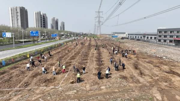 1747298144286406.jpg 5.jpg