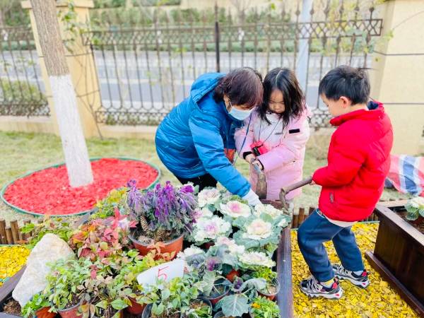 1747298516183551.jpg 6.jpg