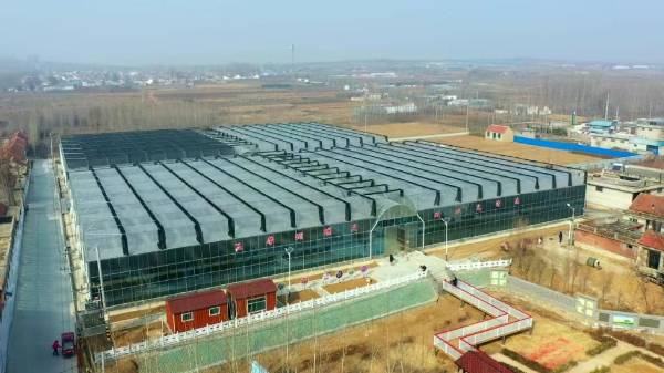 1747298893365752.jpg 10.jpg