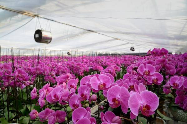 1747298912869186.jpg 12.jpg