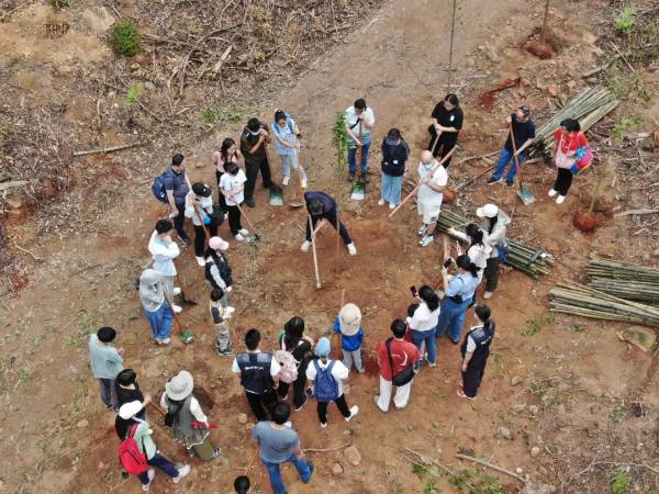 1747299169157979.jpg 1 (1).jpg