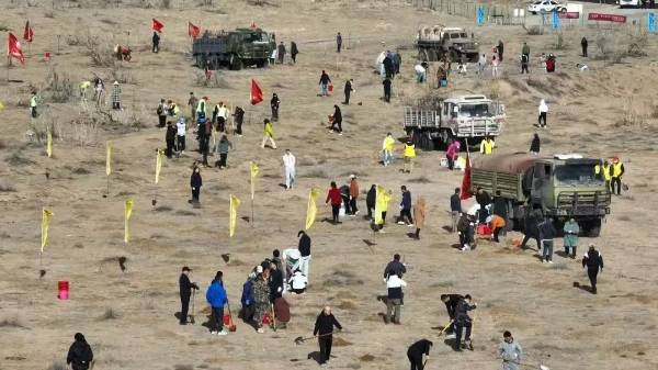 1747619603835646.jpg 3 (1).jpg