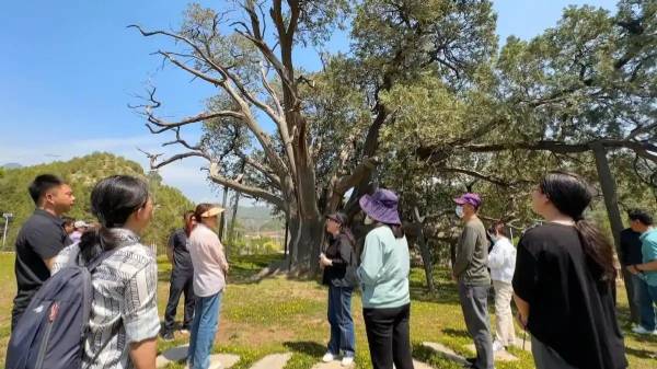 1747620668489765.jpg 5.jpg