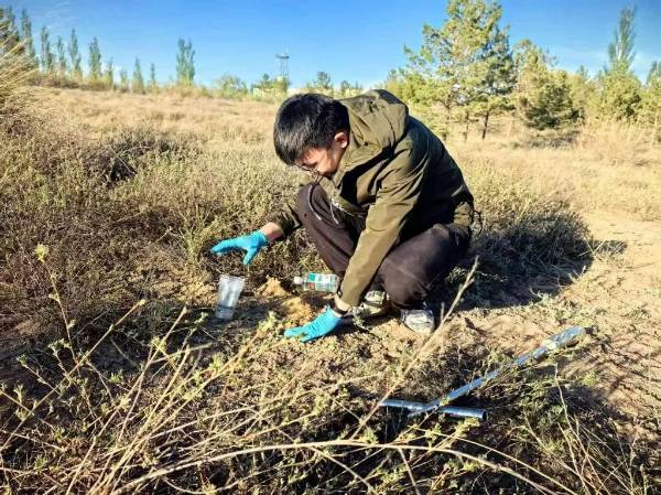 1747621016202334.jpg 1.jpg