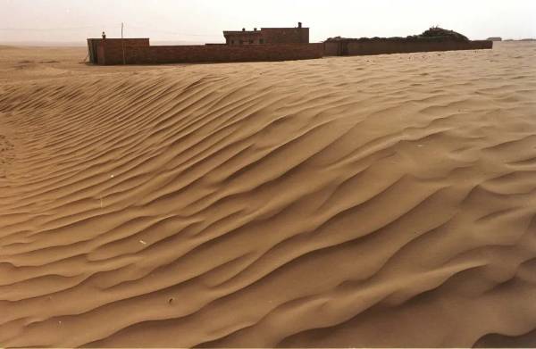 1747621022760164.jpg 2.jpg