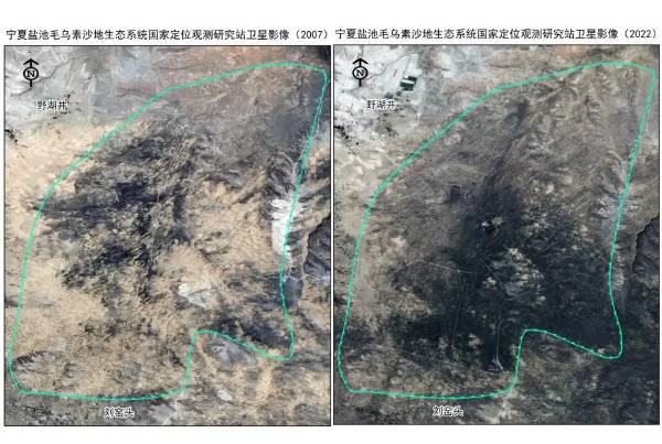 1747621045424689.jpg 4.jpg