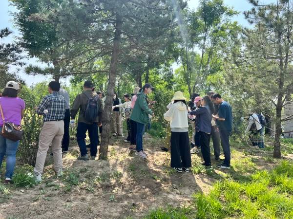 1747631467711571.jpg 3 (1).jpg