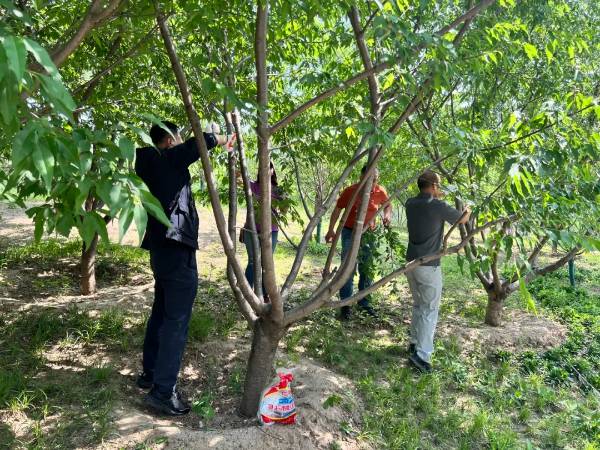 1747631531787935.jpg 5 (1).jpg