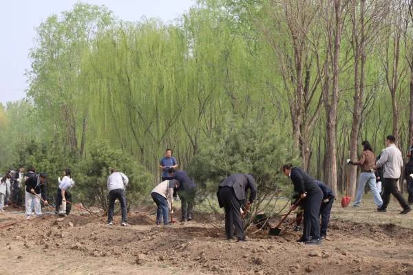 1747631778231883.jpg 8.jpg