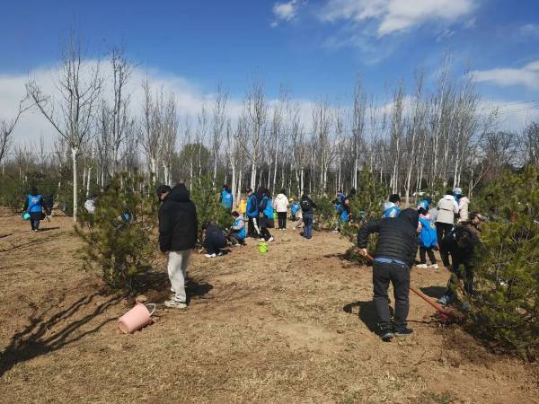 1747631830249034.jpg 10.jpg