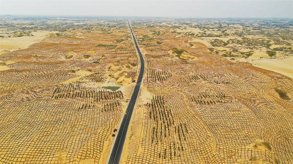 1747642537127723.jpg 11 (1).jpg