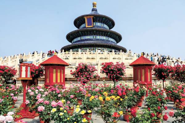 1747705830771083.jpg 1 (1).jpg