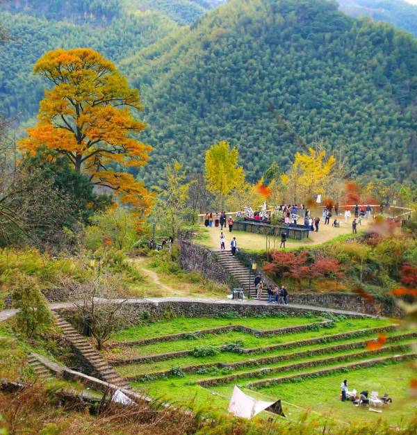 1747706802546964.jpg 1.jpg