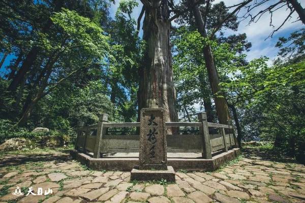 1747706818597559.jpg 3.jpg