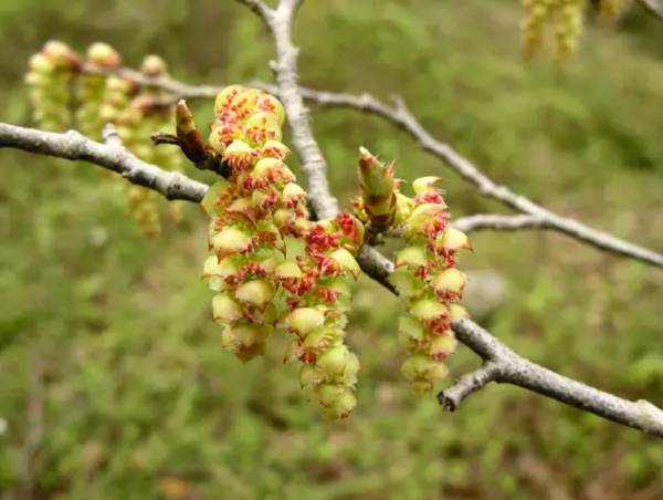 1747706825965890.png 4.png