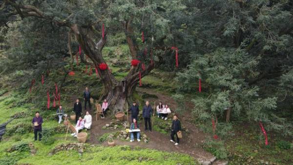 1747706833259550.jpg 5.jpg